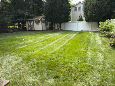 Lawn Care service in Bergenfield, 07621