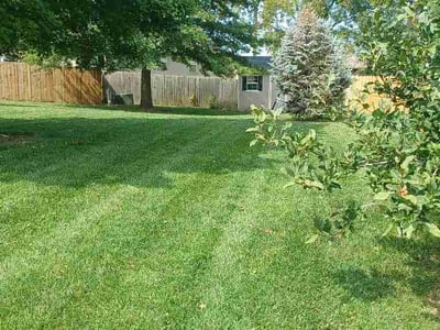Lawn Care service in Belton, 64012