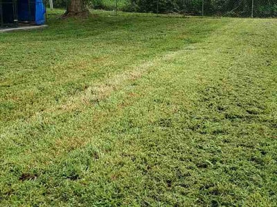 Lawn Care service in Belton, 64012