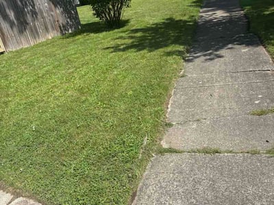 Lawn Care service in Richfield, 55423