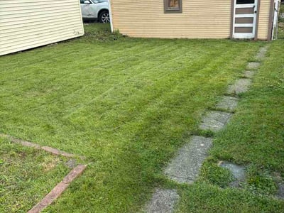 Lawn Care service in Richfield, 55423