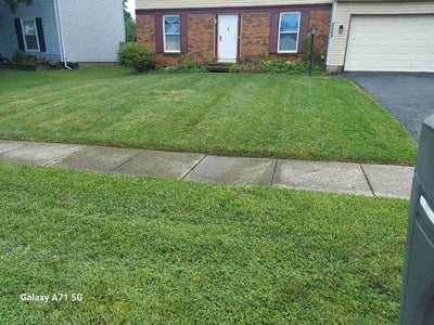 Lawn Care service in New Lexington, 43764