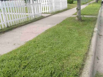 Lawn Care service in Golden Valley, 55422
