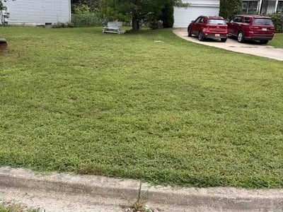 Lawn Care service in Potomac, 20036