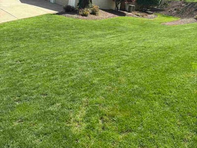 Lawn Care service in Monroeville, 15146