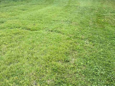 Lawn Care service in Duquesne, 15110