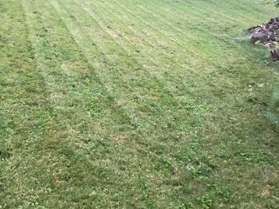 Lawn Care service in Duquesne, 15110