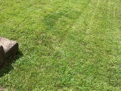 Lawn Care service in Dormont, 15216