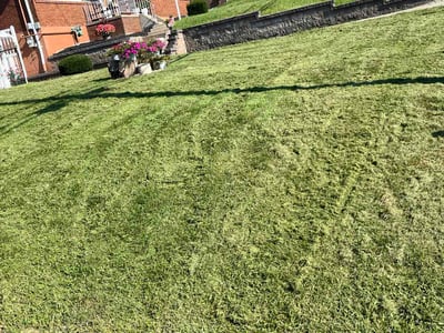Lawn Care service in Dormont, 15216