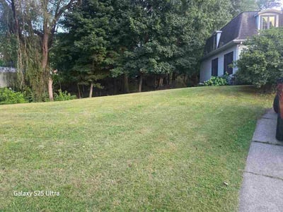 Lawn Care service in Cherry Hill, 16401