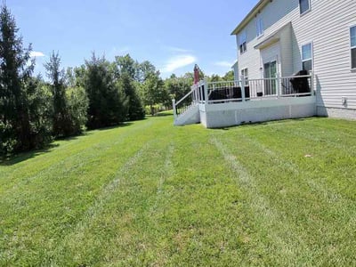 Lawn Care service in White Marsh, 21236