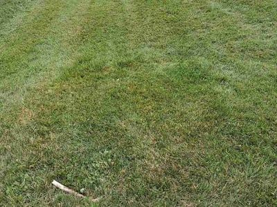 Lawn Care service in Forest Lake, 55025