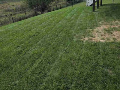 Lawn Care service in Coon Rapids, 55433