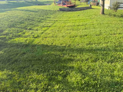Lawn Care service in Trenton, 45067