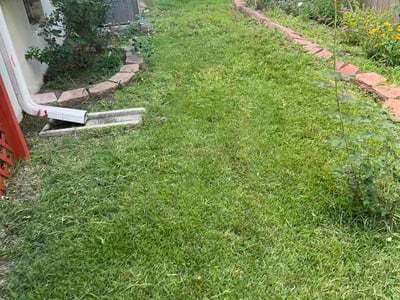 Lawn Care service in Lees Summit, 64063