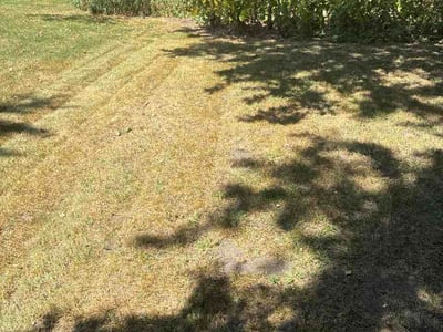 Lawn Care service in Brooklyn Center, 55429