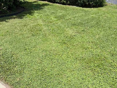 Lawn Care service in Maitland, 32751