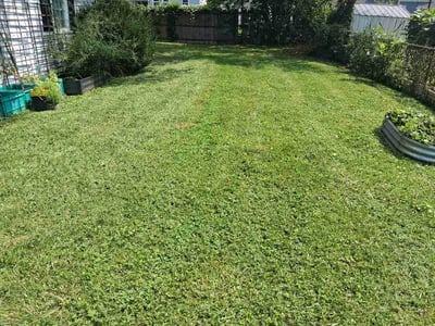 Lawn Care service in Mckeesport, 15132