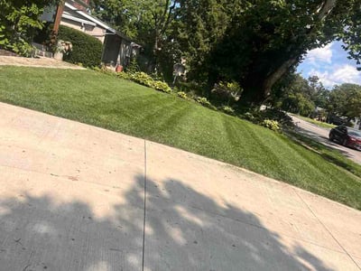 Lawn Care service in Mckeesport, 15132