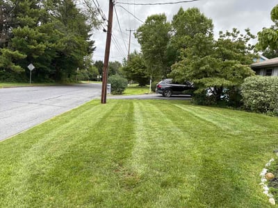 Lawn Care service in Lehigh Valley, 18103