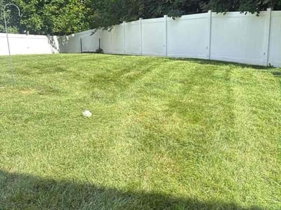 Lawn Care service in Ambler, 19002