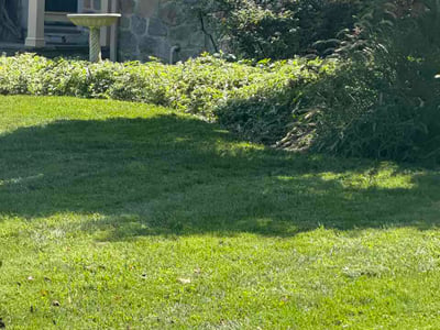 Lawn Care service in Ambler, 19002