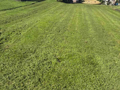 Lawn Care service in Kittanning, 16201