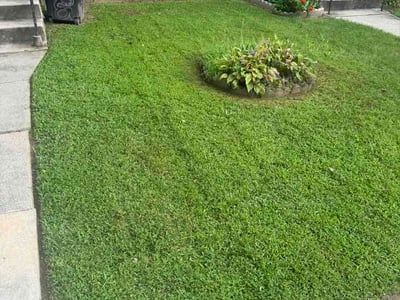 Lawn Care service in Edgewater, 21037