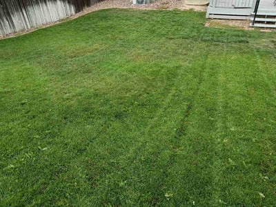 Lawn Care service in Granite City, 65401