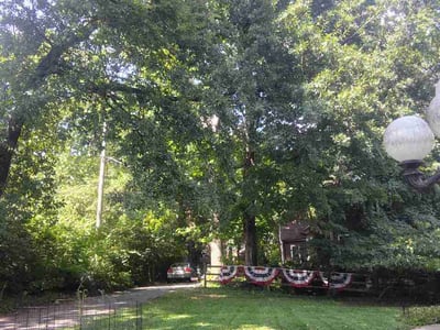 Lawn Care service in Granite City, 65401