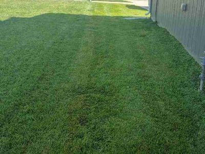 Lawn Care service in Roeland Park, 65401