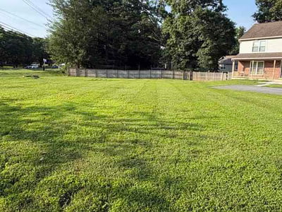 Lawn Care service in Olney, 20832