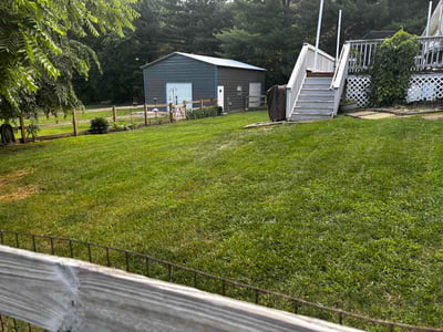 Lawn Care service in Olney, 20832