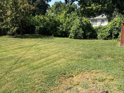 Lawn Care service in Ozark, 65721