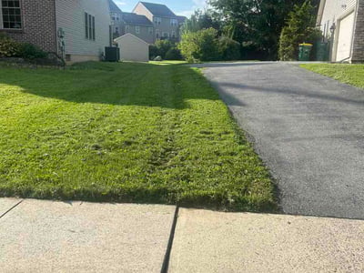 Lawn Care service in Hellertown, 18055