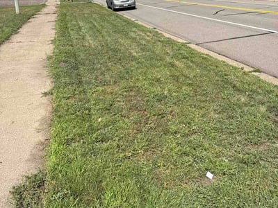 Lawn Care service in Cottage Grove, 55016