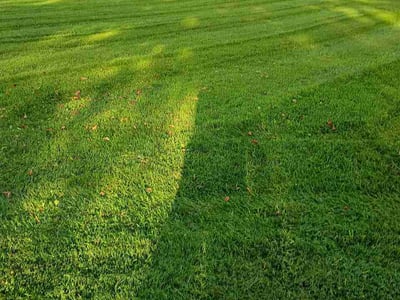Lawn Care service in Bensalem, 19020
