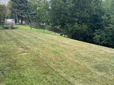 Lawn Care service in Shakopee, 55379