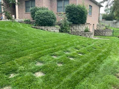 Lawn Care service in Franklin, 45005