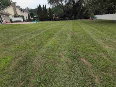 Lawn Care service in Shakopee, 55379