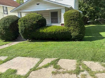 Lawn Care service in New Castle, 16101