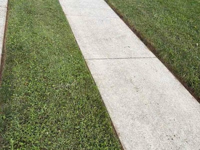 Lawn Care service in Williamstown, 17098