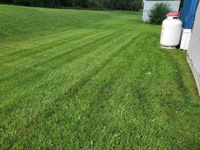 Lawn Care service in Williamstown, 17098