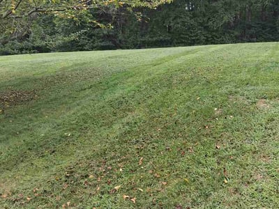 Lawn Care service in Greenbelt, 20770
