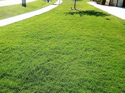 Lawn Care service in ,
