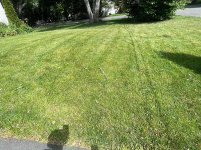 Lawn Care service in Leesburg, 20176
