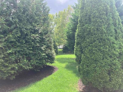Lawn Care service in Enola, 17025