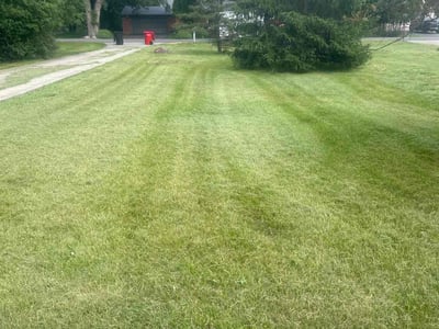 Lawn Care service in Southfield, 48075