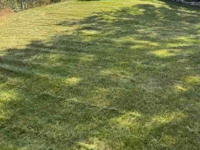 Lawn Care service in Hopkins, 55343