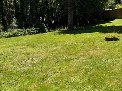 Lawn Care service in Canby, 97013